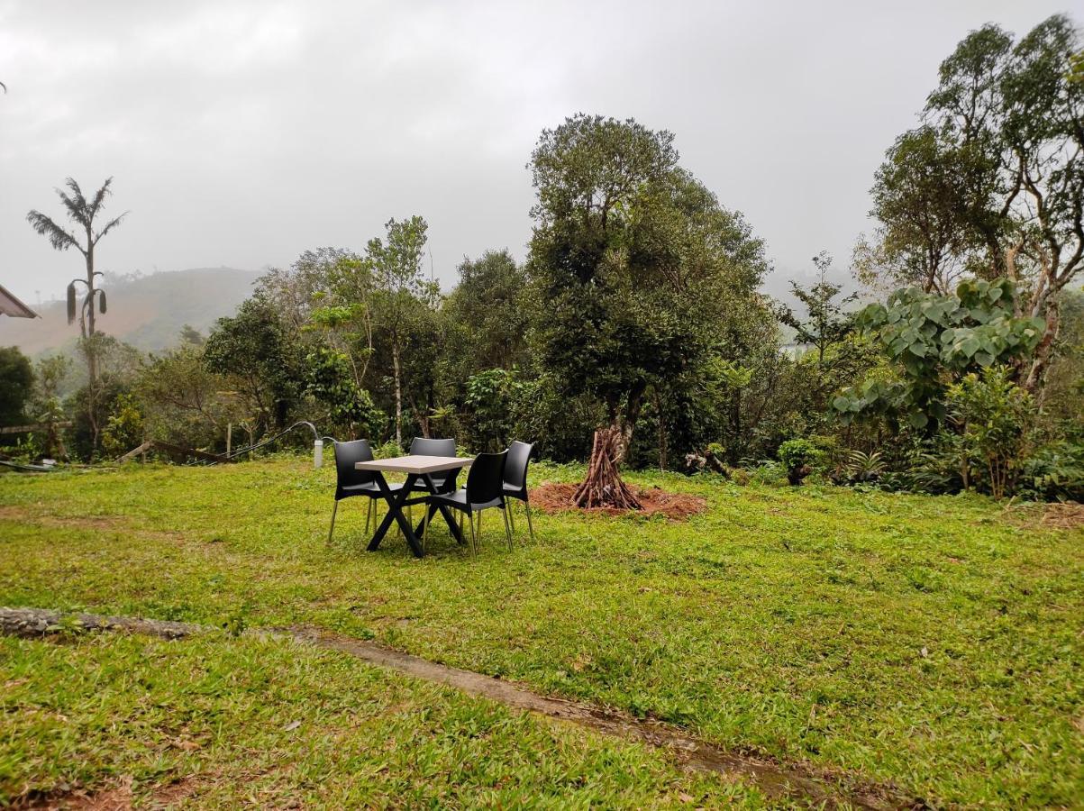 Winter Woods Apartment Vagamon Ngoại thất bức ảnh