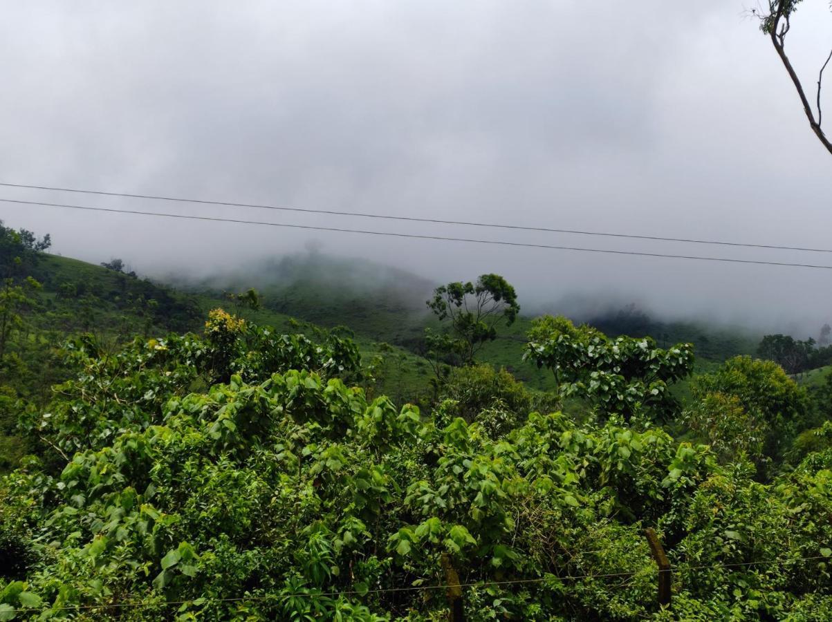 Winter Woods Apartment Vagamon Phòng bức ảnh