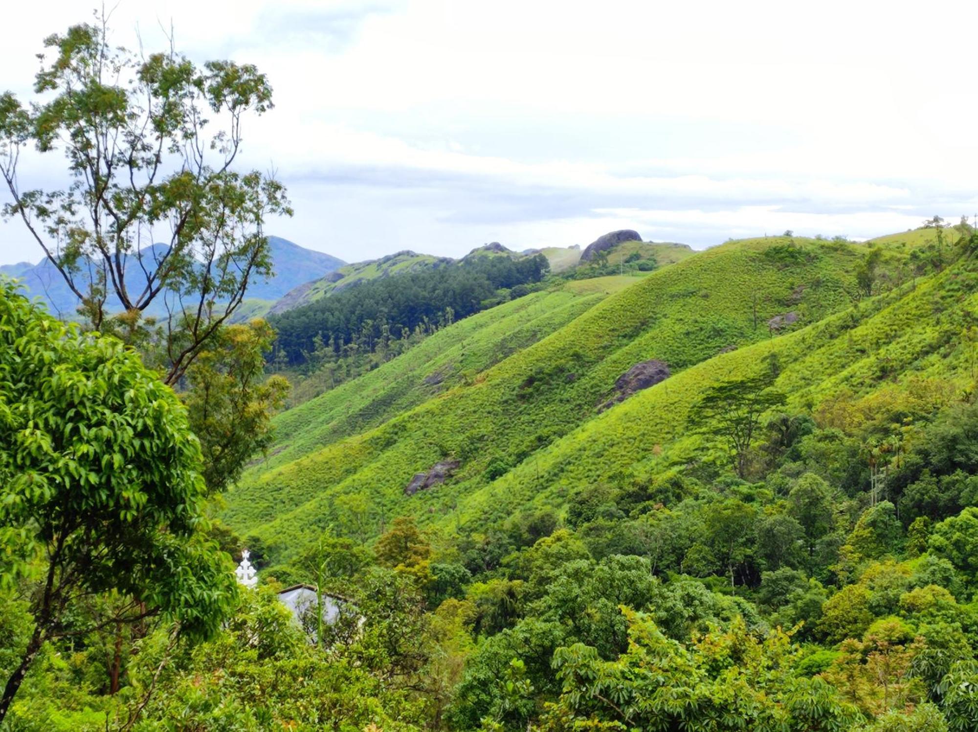 Winter Woods Apartment Vagamon Ngoại thất bức ảnh