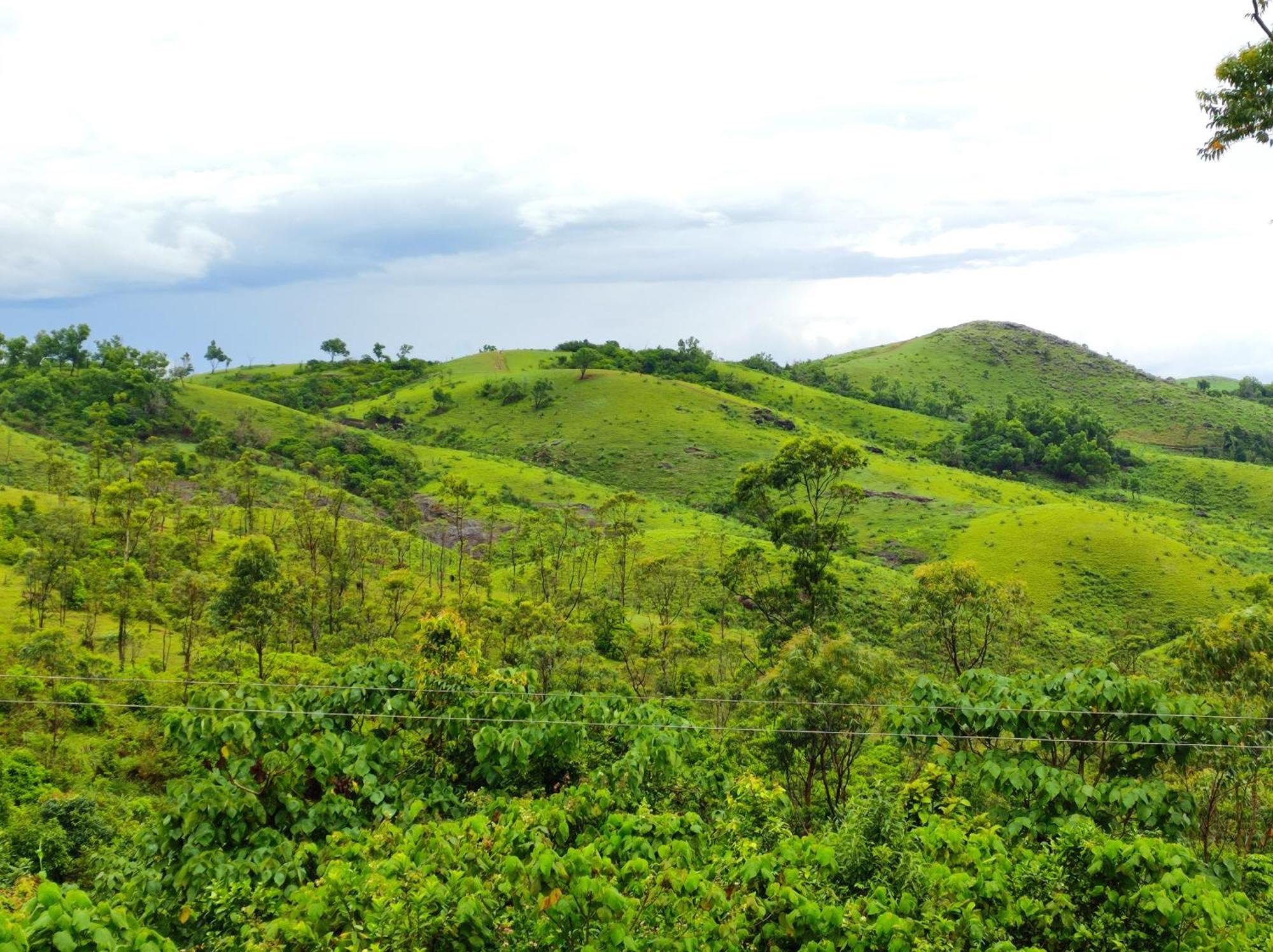 Winter Woods Apartment Vagamon Ngoại thất bức ảnh