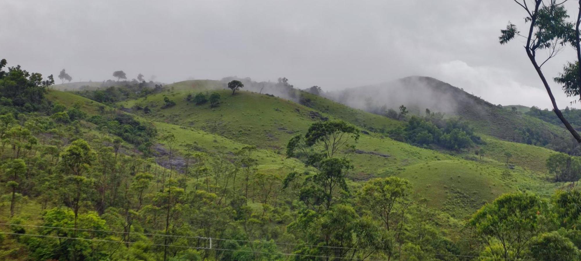 Winter Woods Apartment Vagamon Phòng bức ảnh