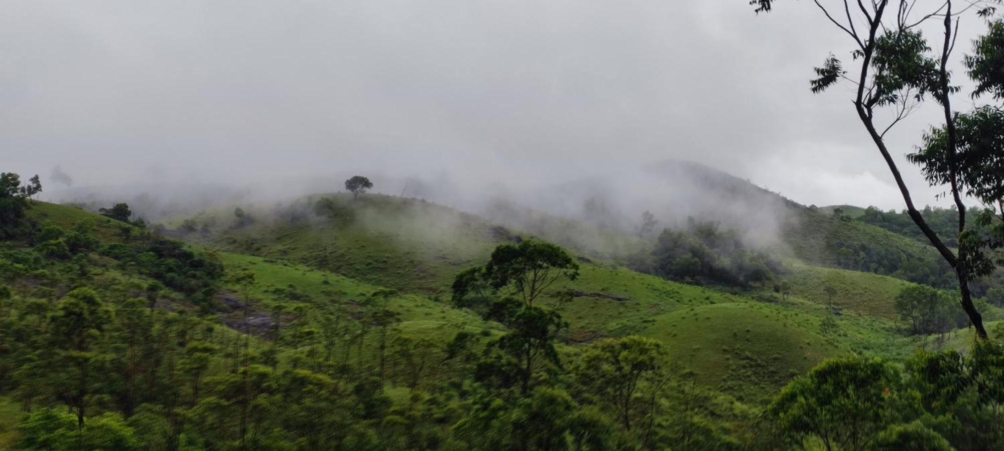 Winter Woods Apartment Vagamon Phòng bức ảnh